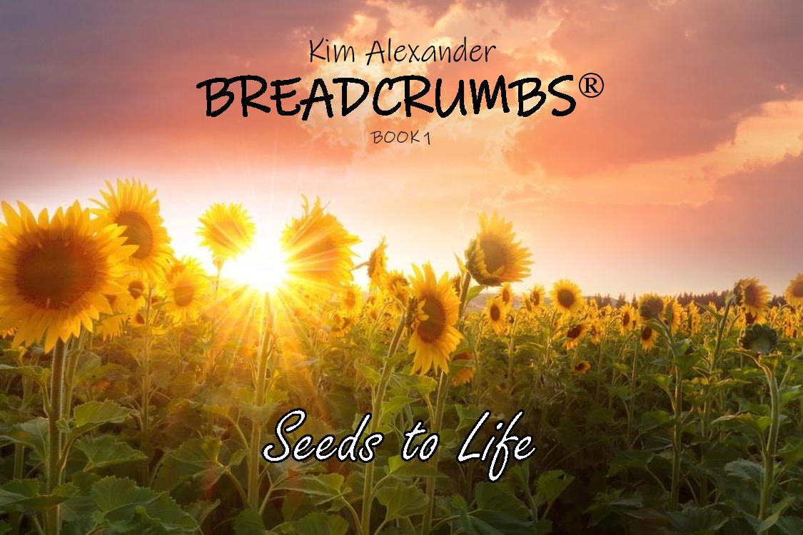 PRINT FINAL Seeds to Life-page-001